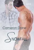 Snowfall (Coleman, Florida, #4)
