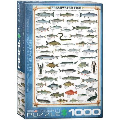 Süßwasserfische