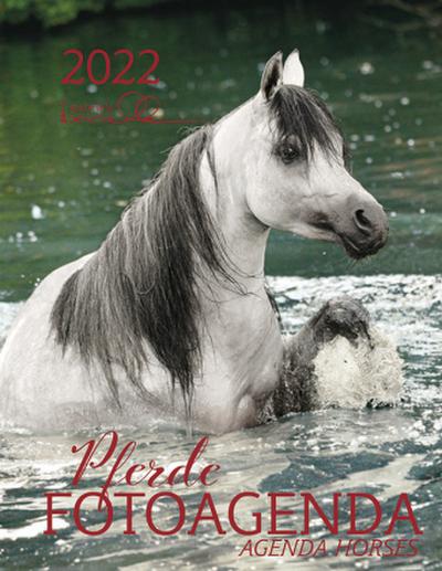 Pferde Fotoagenda 2022