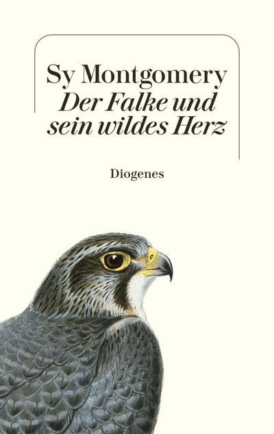 Der Falke und sein wildes Herz