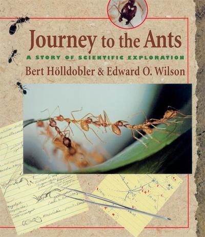 Journey to the Ants