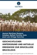 GESCHICHTLICHER HINTERGRUND UND AKTUELLE EREIGNISS