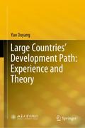 Large Countries Development Path: Experience and T