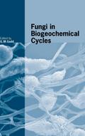 Fungi in Biogeochemical Cycles