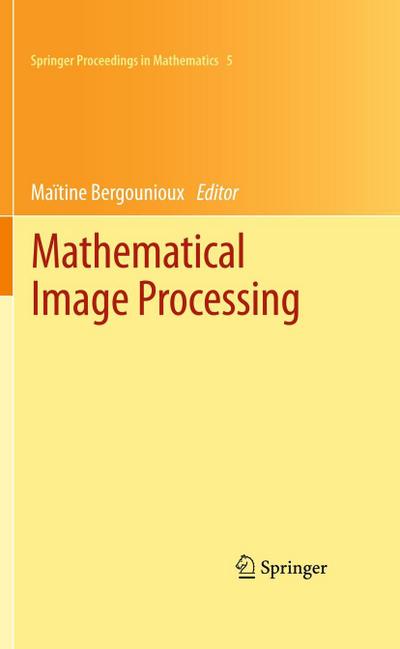 Mathematical Image Processing