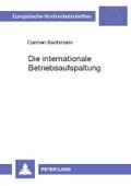 Die internationale Betriebsaufspaltung