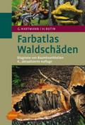 Waldschäden