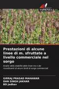 Prestazioni di alcune linee di m. sfruttate a livello commerciale nel sorgo