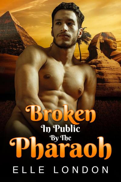 Broken In Public By The Pharaoh