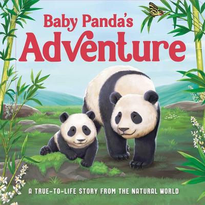 Baby Panda’s Adventure