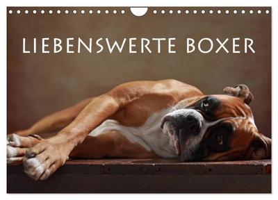 Liebenswerte Boxer (Wandkalender 2026 DIN A4 quer), CALVENDO Monatskalender