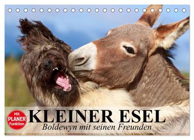 Kleiner Esel. Boldewyn mit seinen Freunden (Tischkalender 2024 DIN A5 quer), CALVENDO Monatskalender
