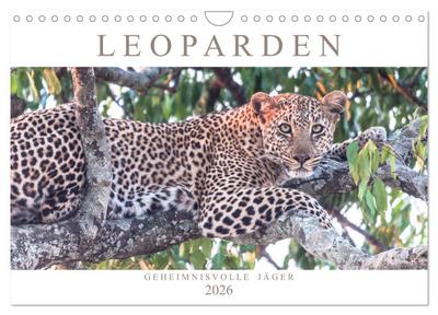 Leoparden - Geheimnisvolle Jäger (Wandkalender 2026 DIN A4 quer), CALVENDO Monatskalender