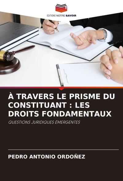 À TRAVERS LE PRISME DU CONSTITUANT : LES DROITS FONDAMENTAUX