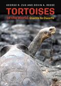Tortoises of the World