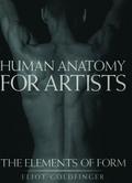 Human Anatomy for Artists