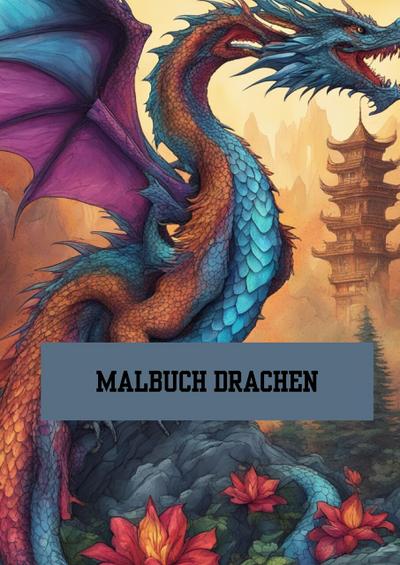 Bilderbuch / Malbuch Drachen