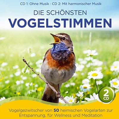 Die schönsten Vogelstimmen-Vogelgezwitscher v 50