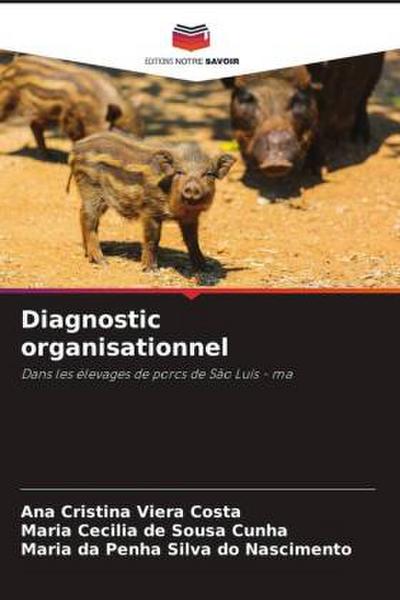 Diagnostic organisationnel