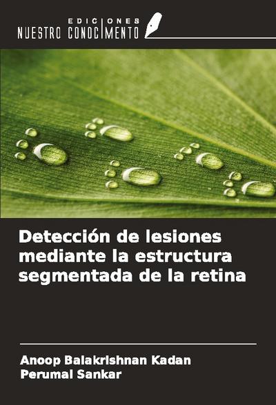 Detección de lesiones mediante la estructura segmentada de la retina