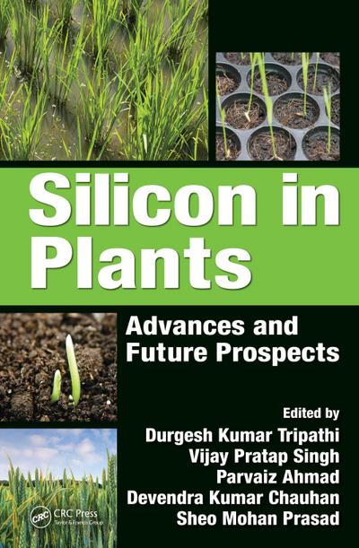 Silicon in Plants