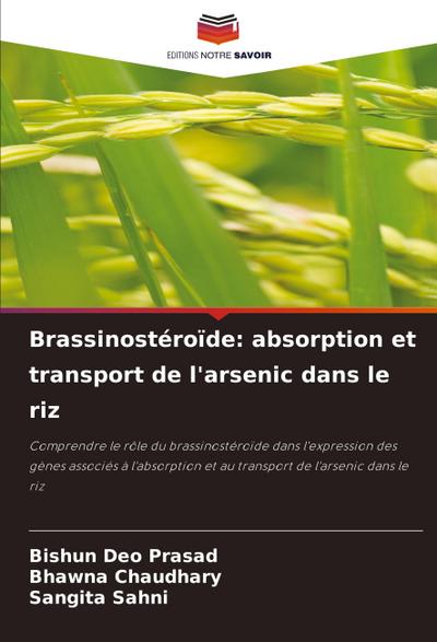 Brassinostéroïde: absorption et transport de l’arsenic dans le riz