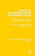 Municipal Entrepreneurship and Energy Policy