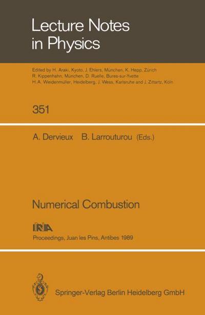 Numerical Combustion