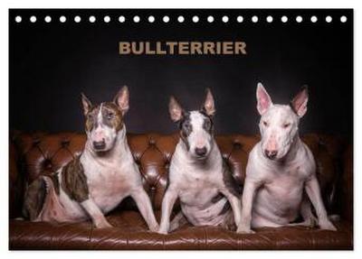 Bullterrier (Tischkalender 2026 DIN A5 quer), CALVENDO Monatskalender