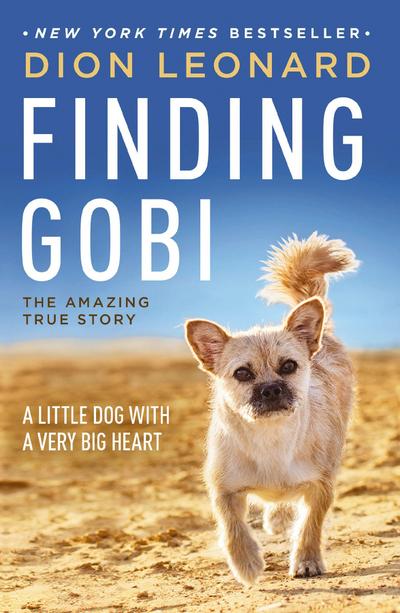 Finding Gobi