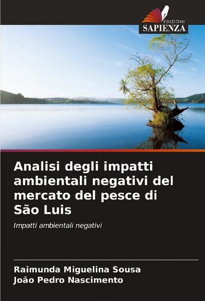 Analisi degli impatti ambientali negativi del mercato del pesce di São Luis