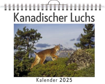 Weber, J: Kanadischer Luchs