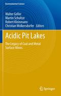 Acidic Pit Lakes