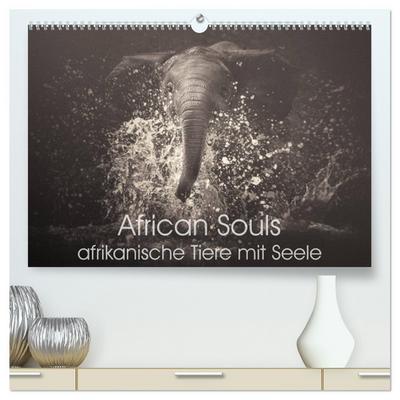 African Souls - afrikanische Tiere mit Seele (hochwertiger Premium Wandkalender 2025 DIN A2 quer), Kunstdruck in Hochglanz