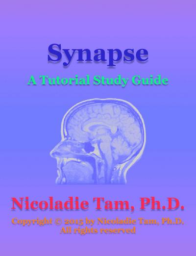 Synapse: A Tutorial Study Guide