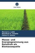 Masse- und Energiegewinnung aus Reisstroh als Biomassequelle