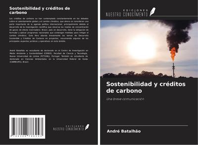 Sostenibilidad y créditos de carbono