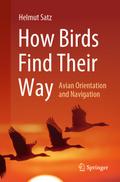 How Birds Find Their Way