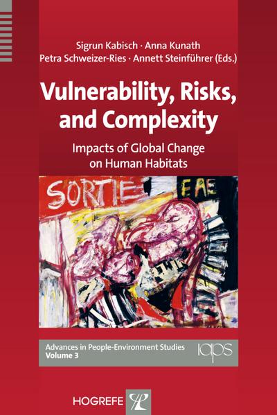 Vulnerability, Risks, and Complexity