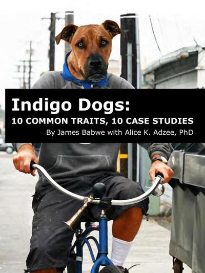 Indigo Dogs: 10 Common Traits, 10 Case Studies