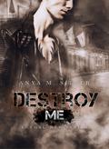 Destroy Me (Lethal Men Series, #2)