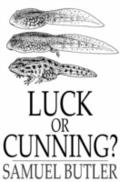 Luck or Cunning?