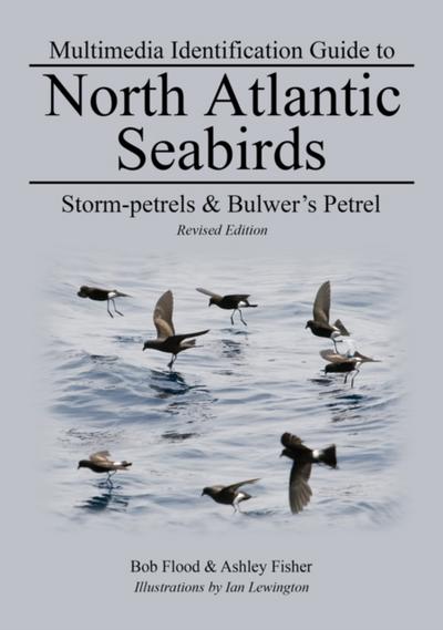 Storm-petrels & Bulwer’s Petrel
