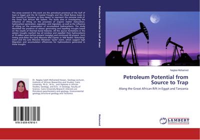 Petroleum Potential from Source to Trap