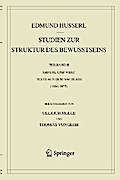 Studien zur Struktur des Bewusstseins