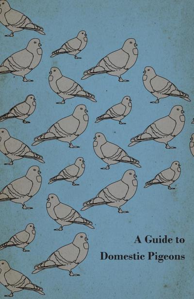 A Guide to Domestic Pigeons - With Chapters on Doves, Training and Their Habits