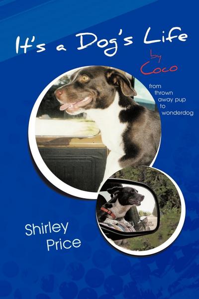 It’s a Dog’s Life by Coco