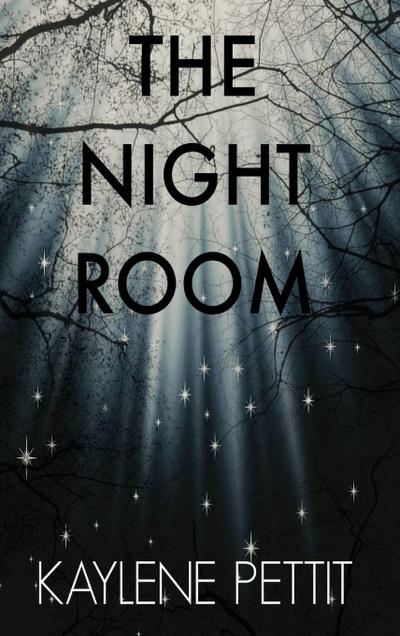 THE NIGHT ROOM