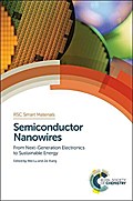 Semiconductor Nanowires