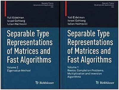 Separable Type Representations of Matrices and Fast Algorithms